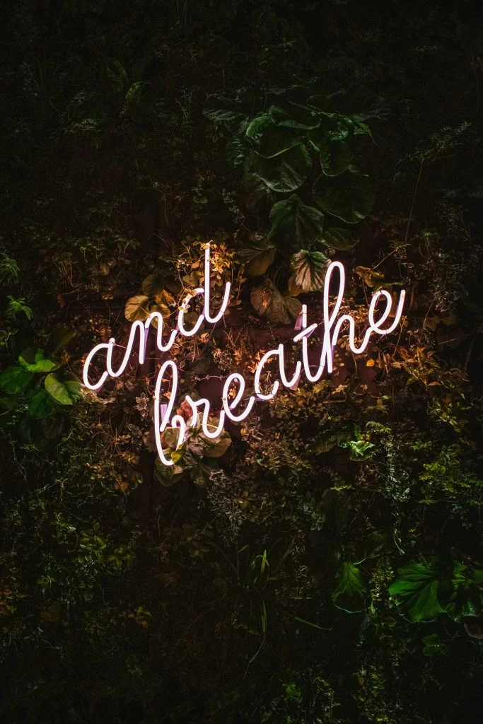 neon sign on wall of leaves