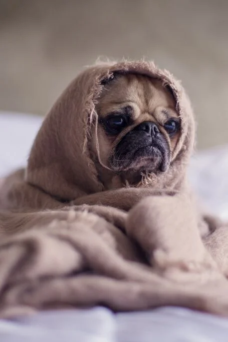 Is Weight Gain During Your Period Normal?