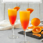Two crystal champagne glasses, each garnished with an orange slice. The glasses are filled with orange juice and grenadine in a gradient fading from red-orange up to yellow-orange. A whole orange and orange slices are faded in the background.